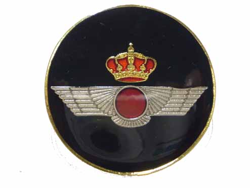 Escudo Metalico aviacion Boina